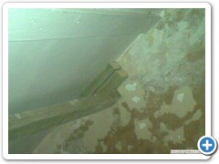 keneddy_159