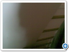 keneddy_165
