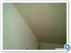 keneddy_217