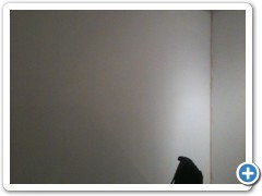 in_process_405