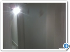 in_process_454