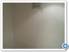 project_start_29