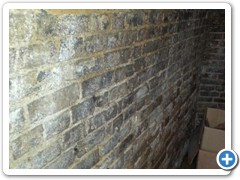 project_start_34