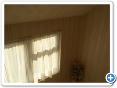 before (14)