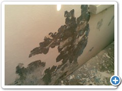 in-process (1)