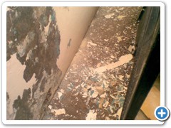in-process (13)