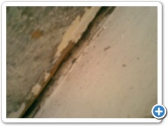 in-process (3)