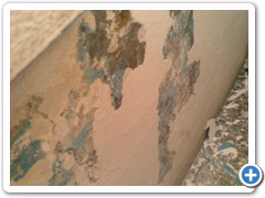 in-process (5)