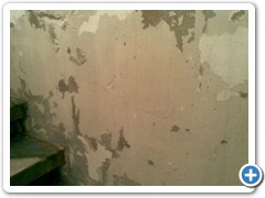 in-process (6)